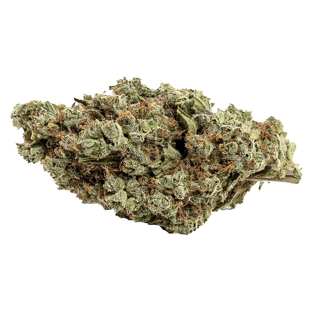 Couch Potato - Indica